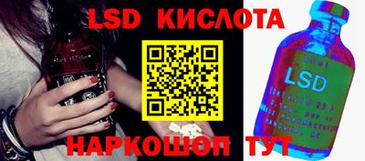 прущие грибы Тула