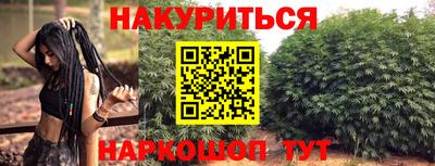 прущие грибы Тула