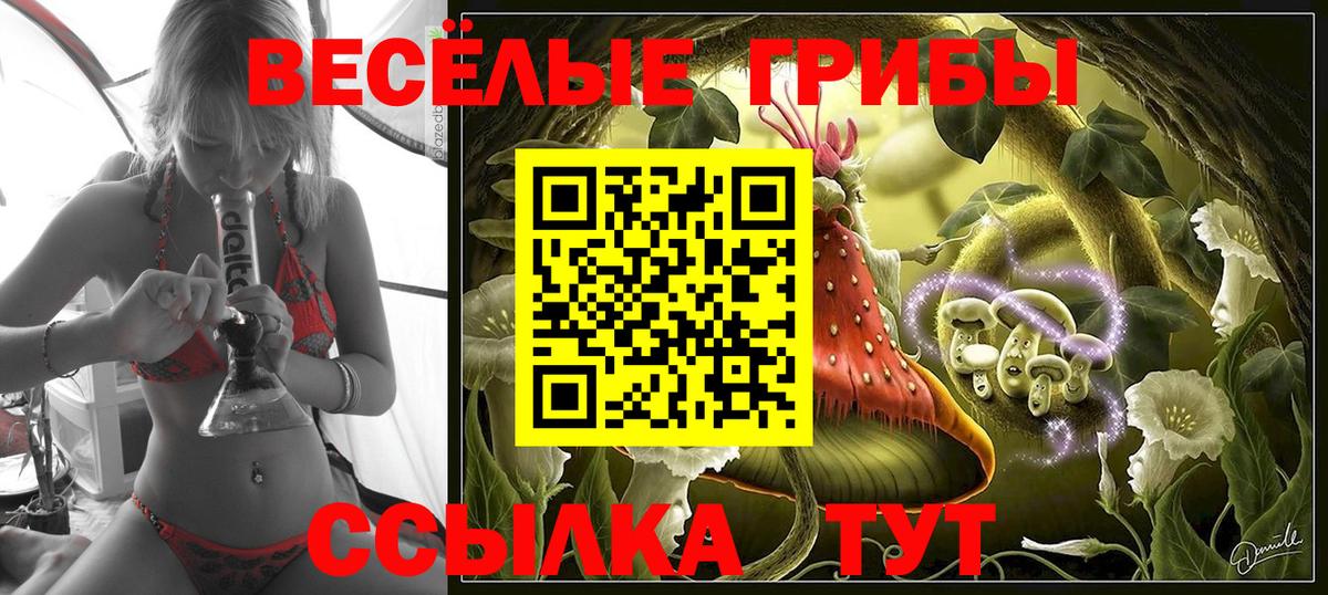 Боровичи  Галлюциногенные грибы ЛСД  Вход с VPN  Псилоцибиновые грибы Psilocybe 