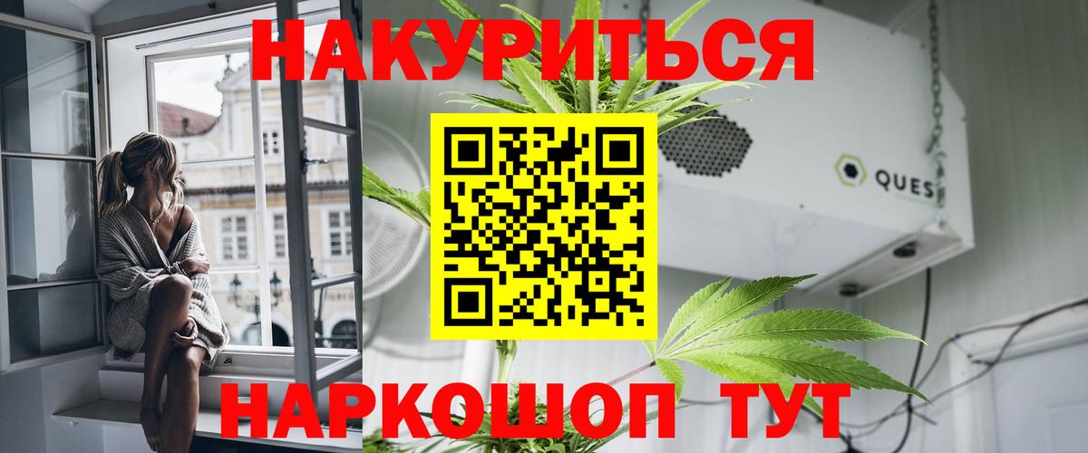 Канабис конопля Боровичи